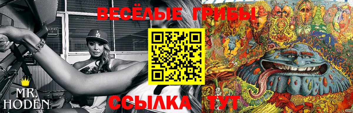 Галлюциногенные грибы прущие грибы Узловая